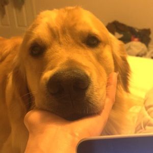 Meet your Posher, Derek